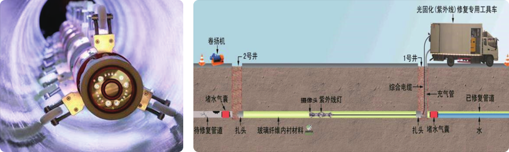 图层 7.png