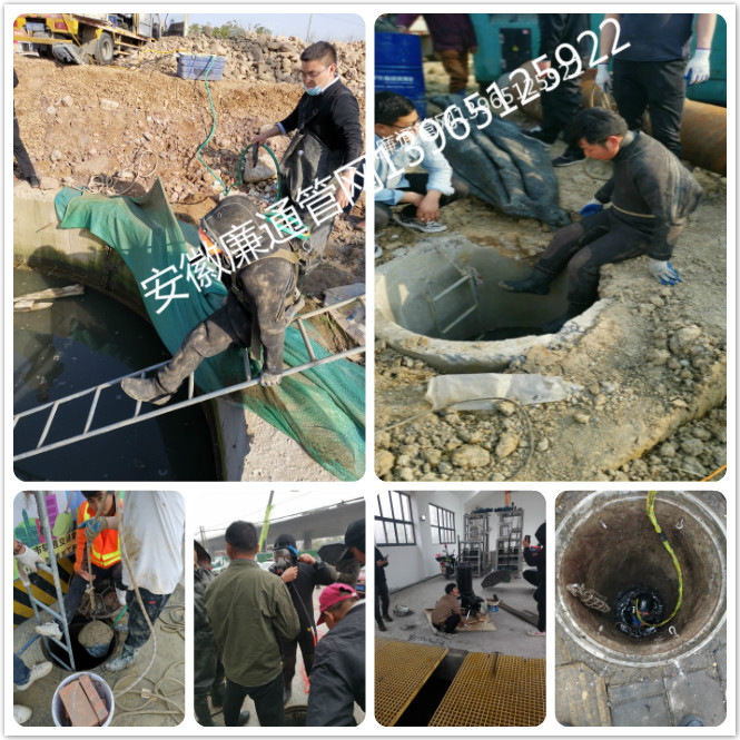 潜水图片集.jpg